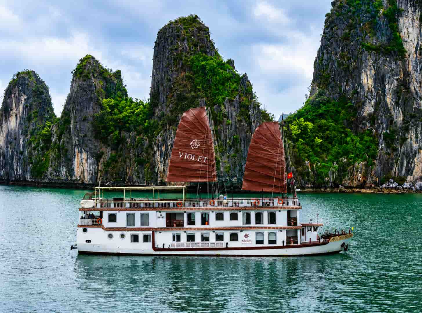 Violet Cruise 5