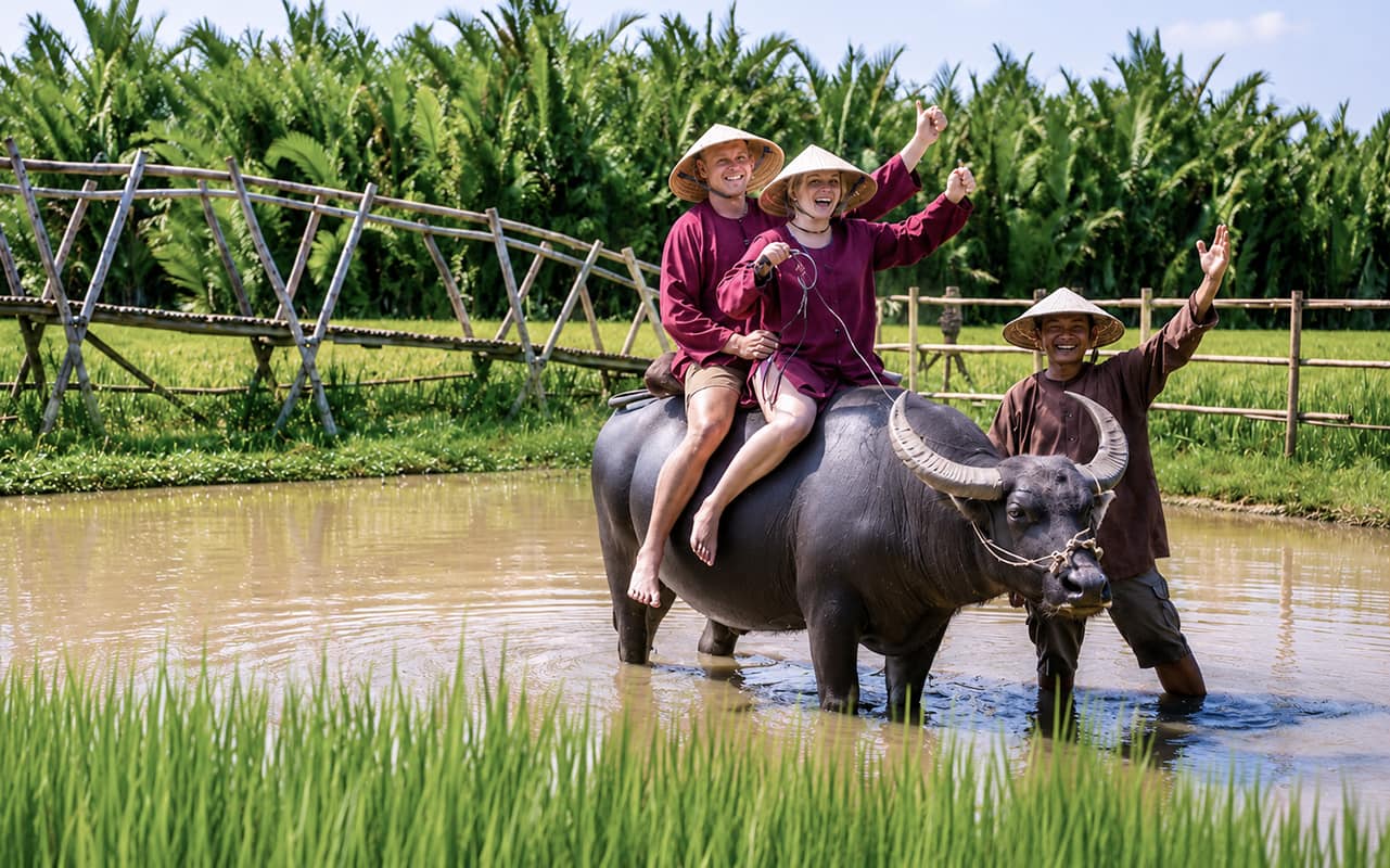 Visitors riding a water buffalo during a traditional rice farming